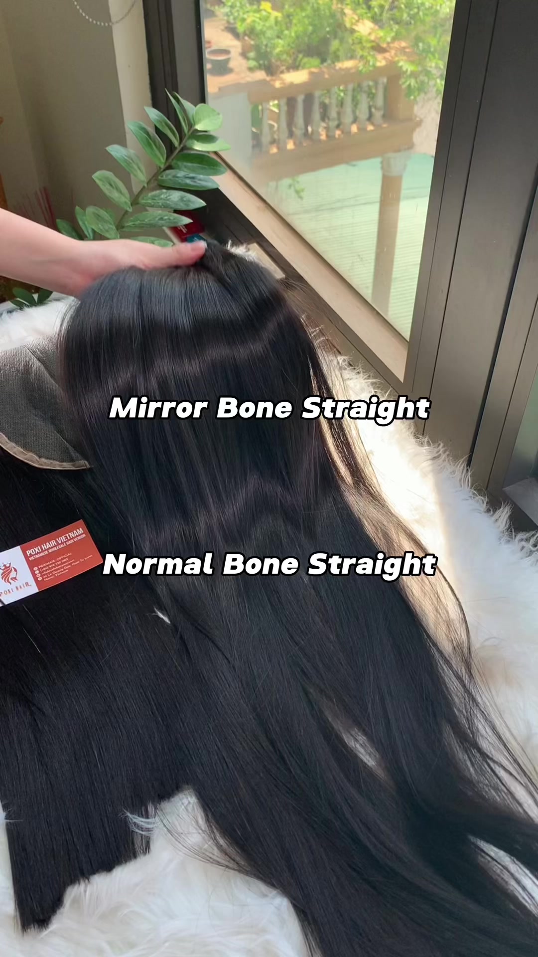 @Anita_Poxihair