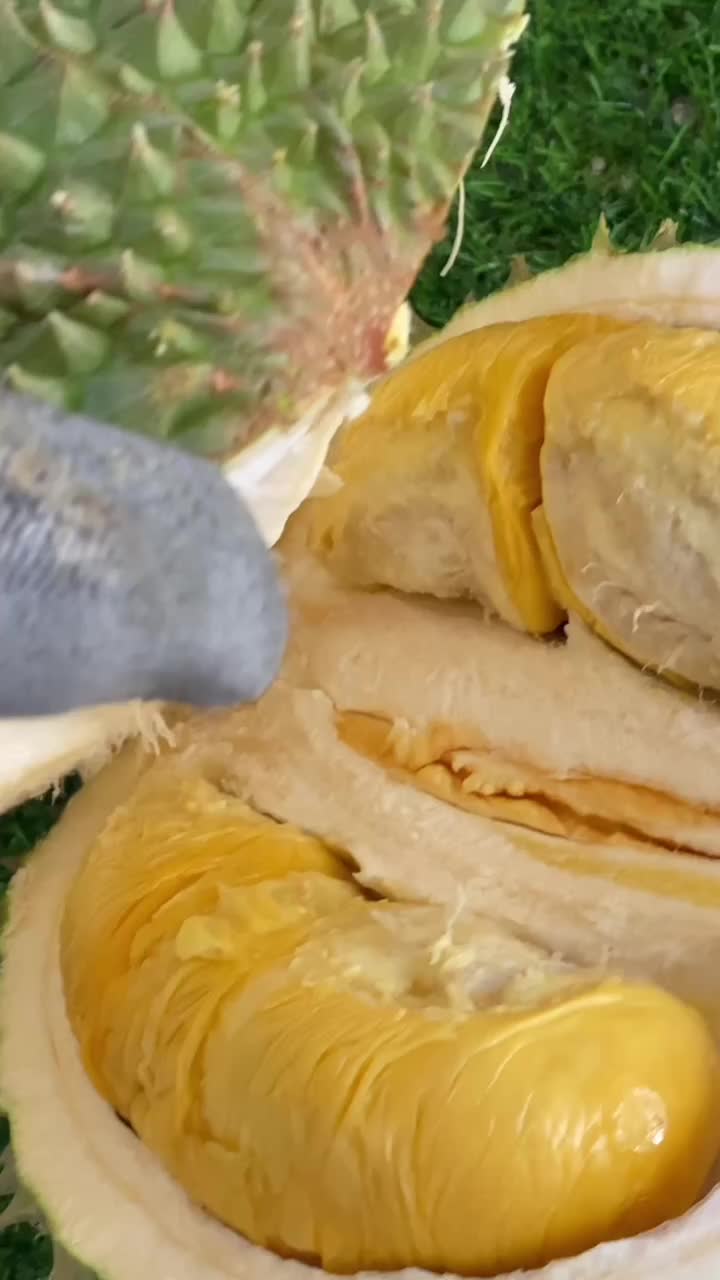 @Zamzamiisam