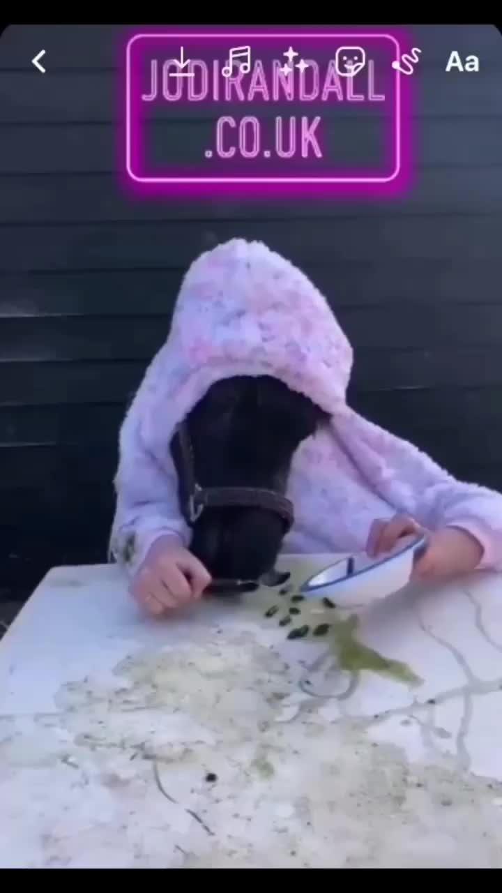 @JodiRandallEquine