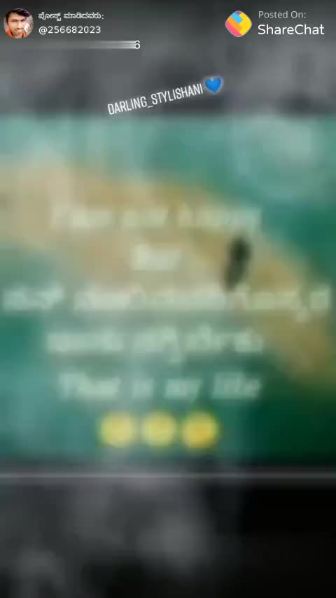 @vidya v