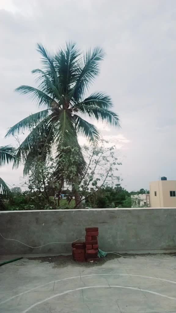 @💞Sharang Pani💞