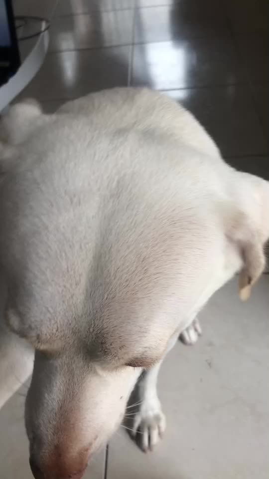 @Fernando Hidrovo