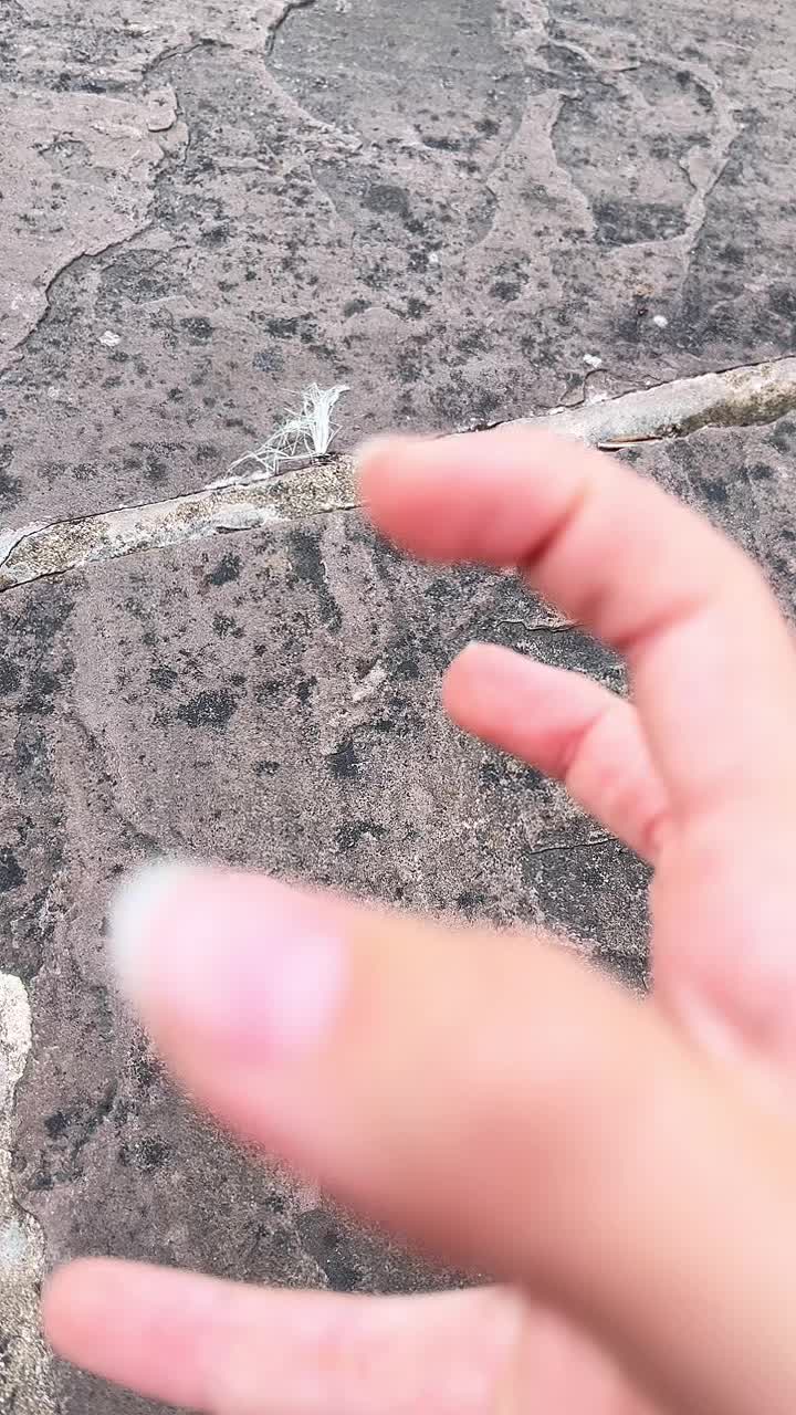 @Eva🥺🌸💿