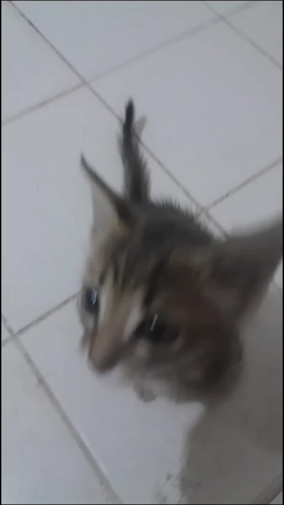 @𝒦𝒶𝓇ℯ𝓃 𝒿𝓊𝓁𝒾𝒶𝓃𝒶
