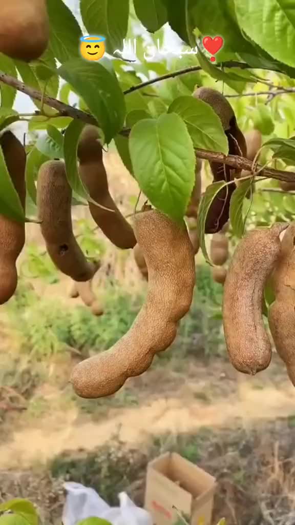 @user41360064849