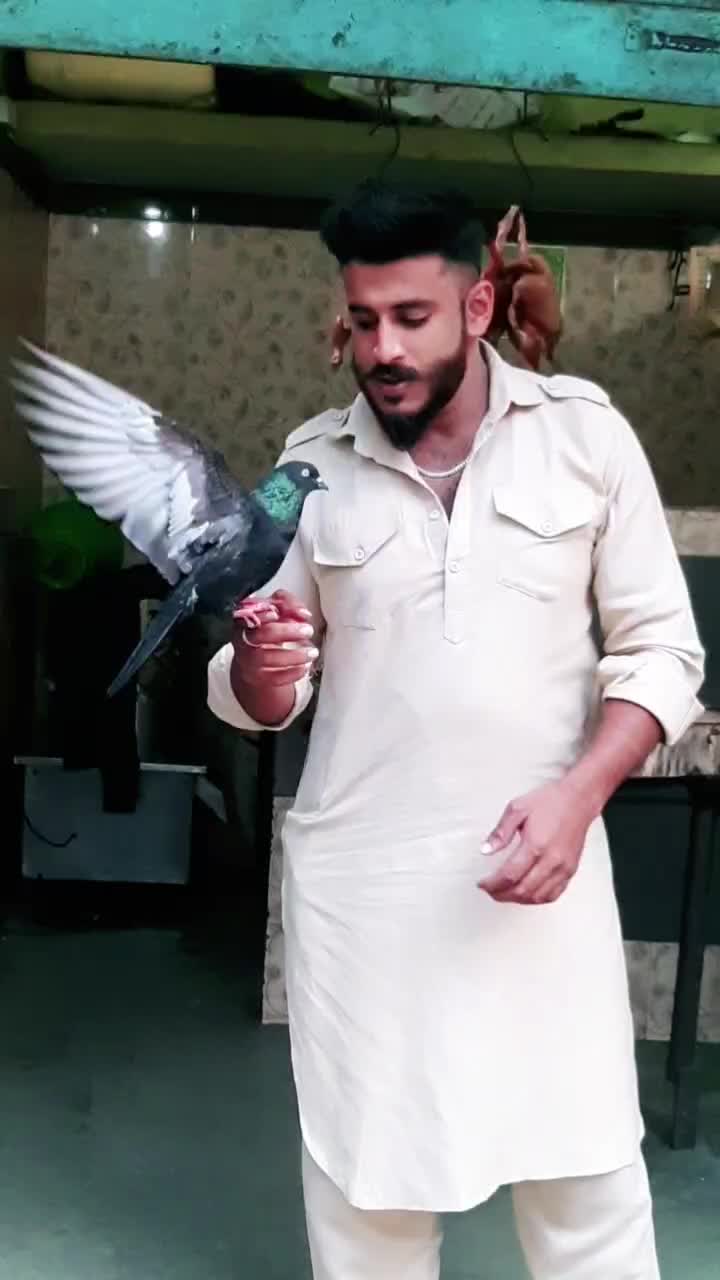 @wajeedbaig77