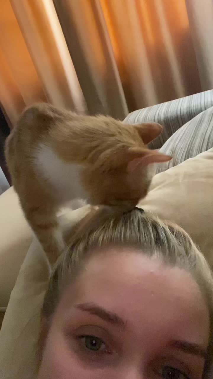 @Cat_Stepan