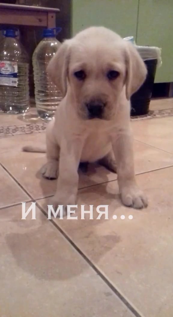 @Тигрёнок🤫