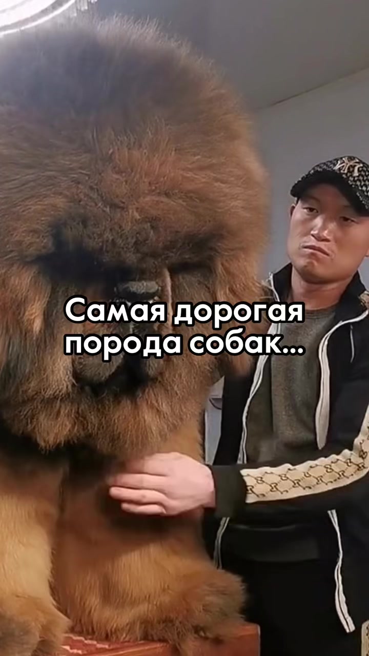 @podruzhki.facts