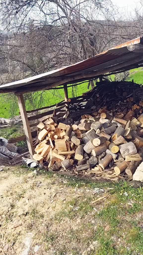@Güler Kaya