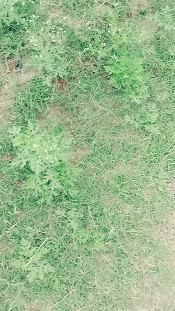 @Krish Rajput