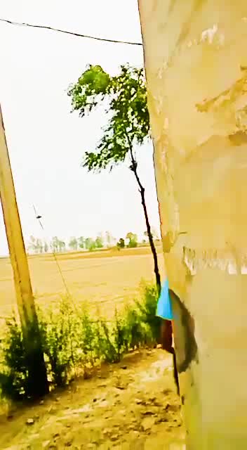@ਫੈਨ ਬੱਬੂ ਮਾਨ ਦਾ