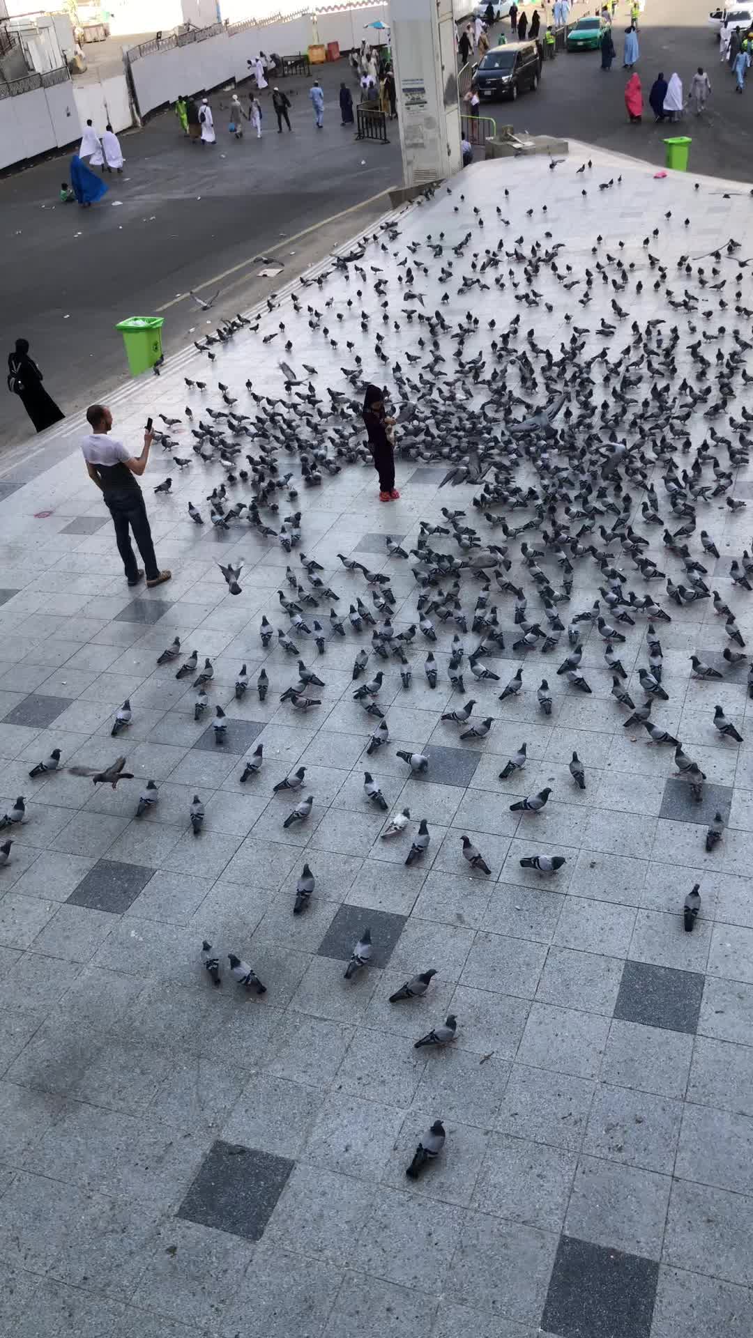 @صديق راهو