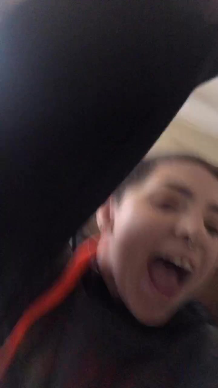 @alcoholicaligator