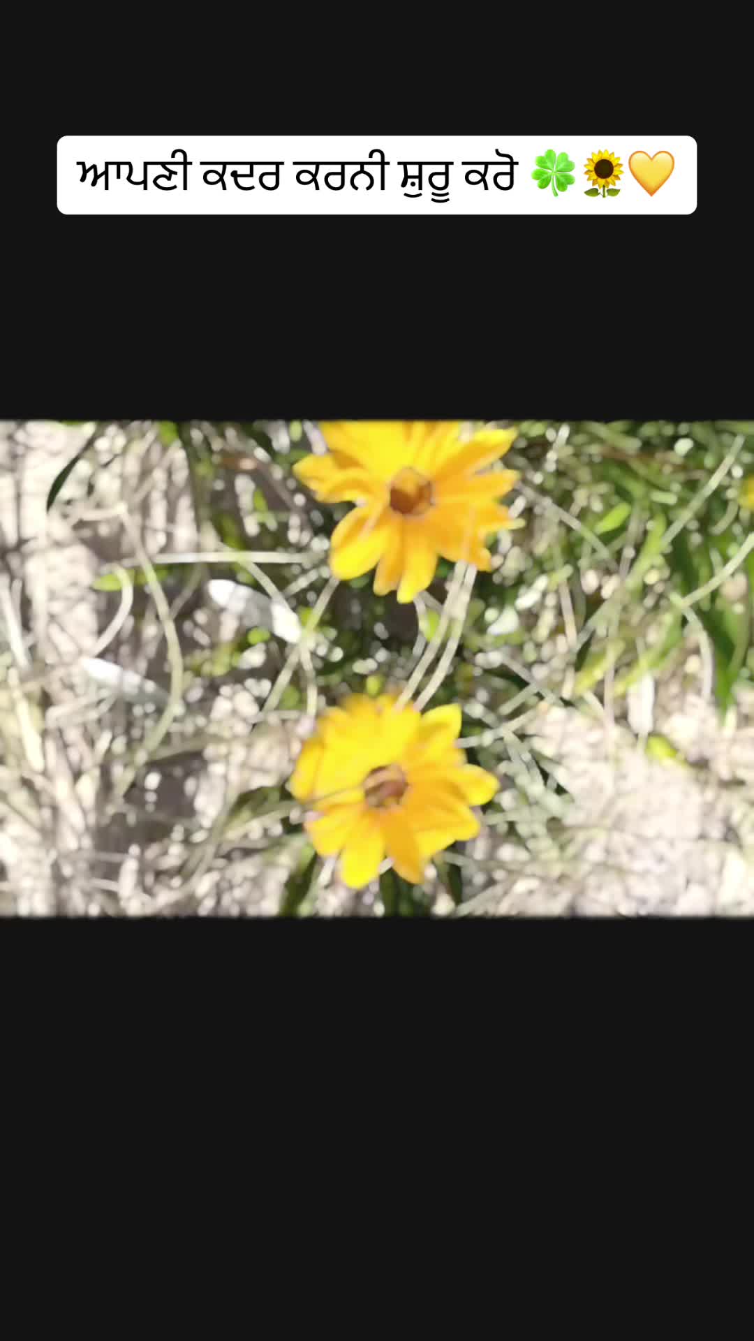 @hrmn_kr08