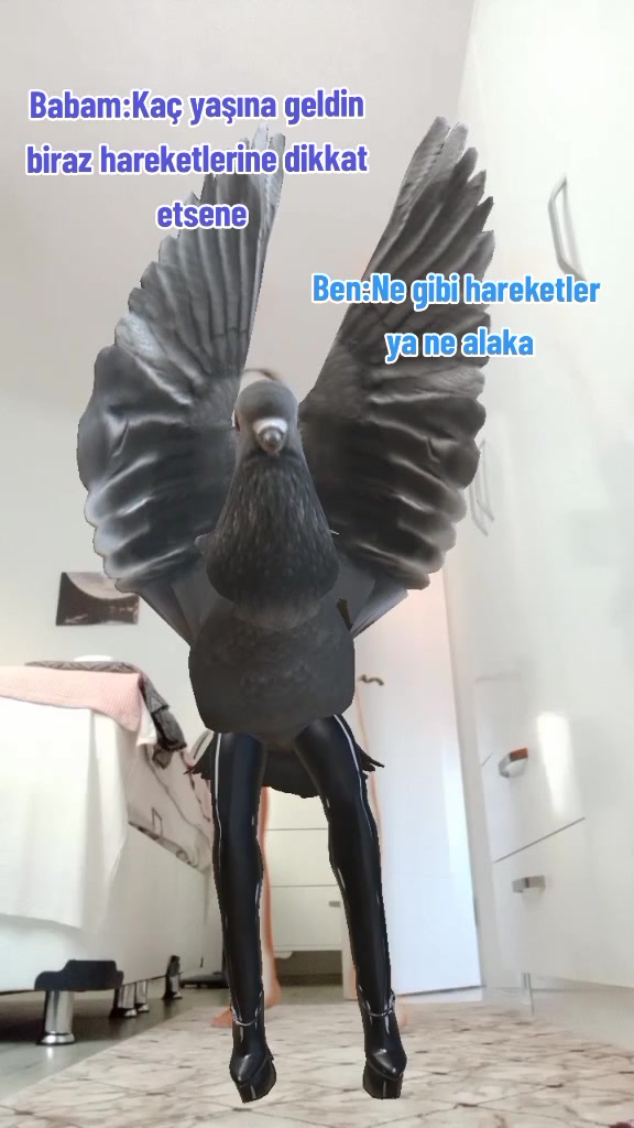 @aylint_00