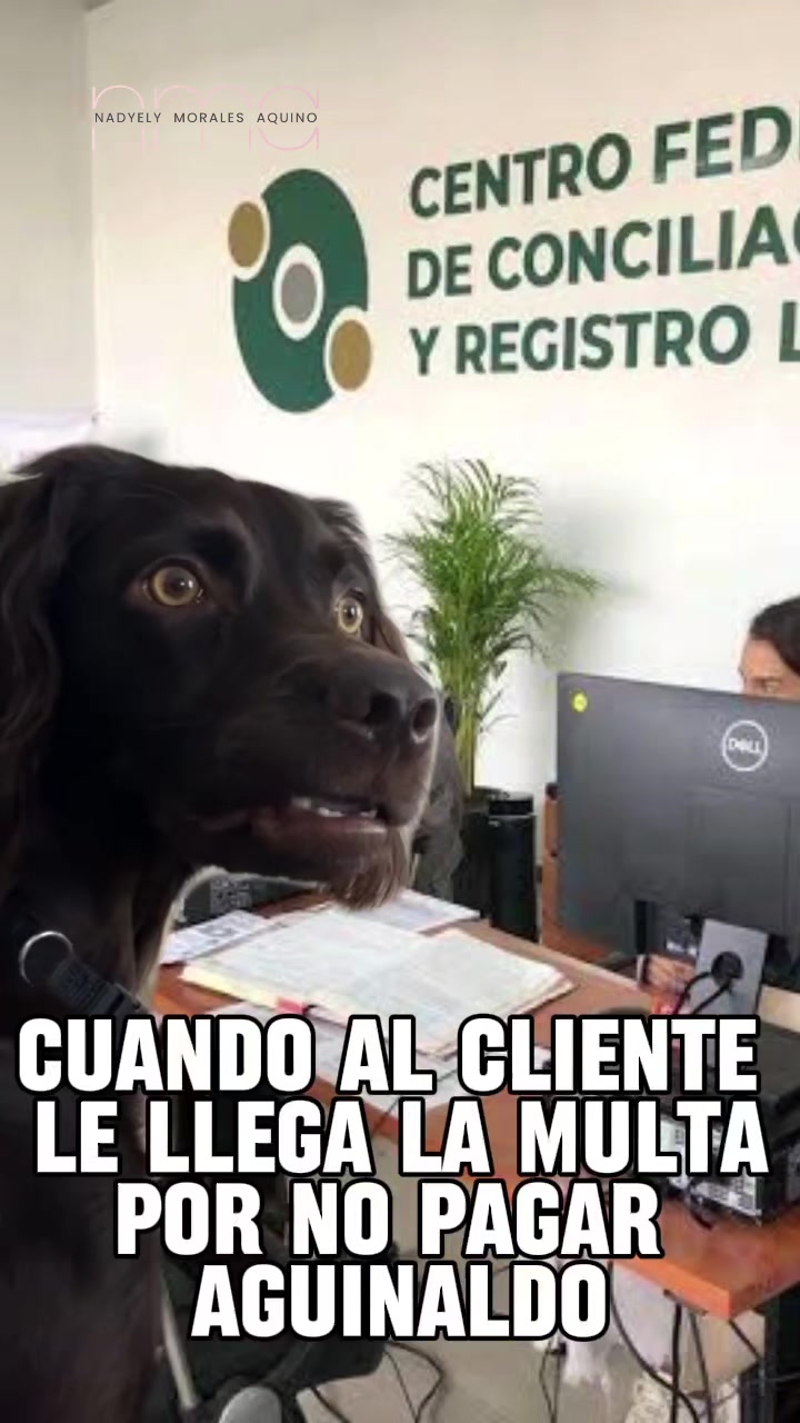 @Abogada para Emprendedores