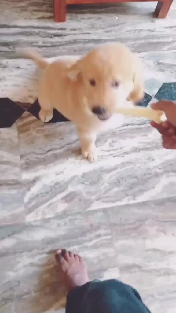 @Babychan