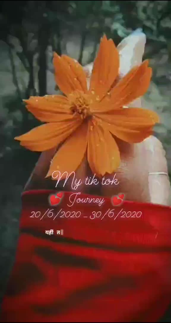 @Nikk