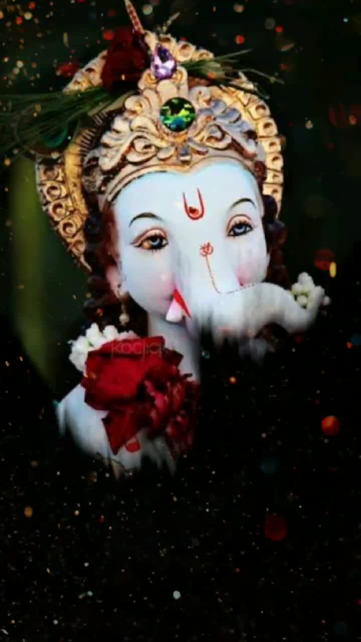 @bappa lifeline 🌍💯💖🙏