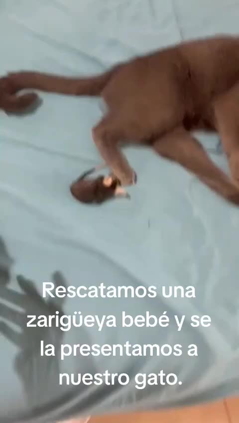 @Karla Caballero Locutora