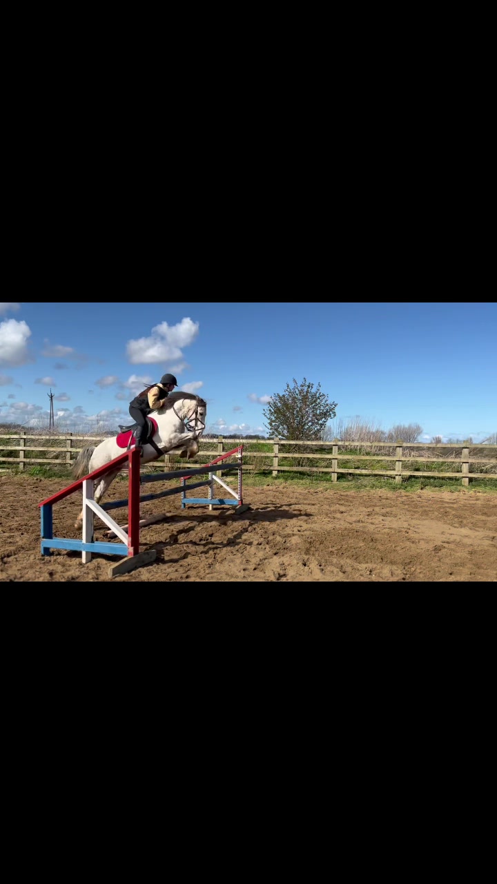@Bow meadows farm