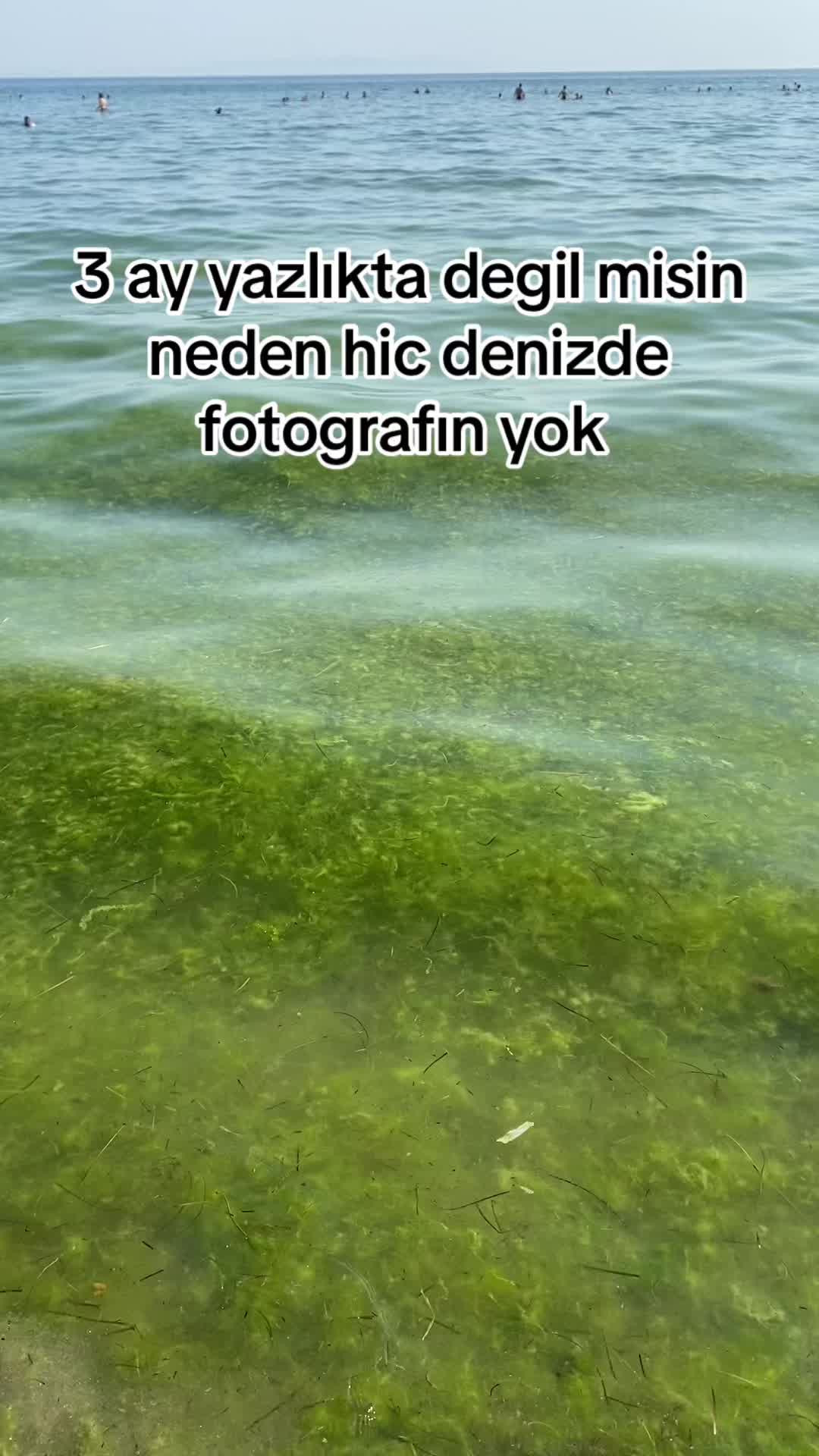 @Crnctnkyaa
