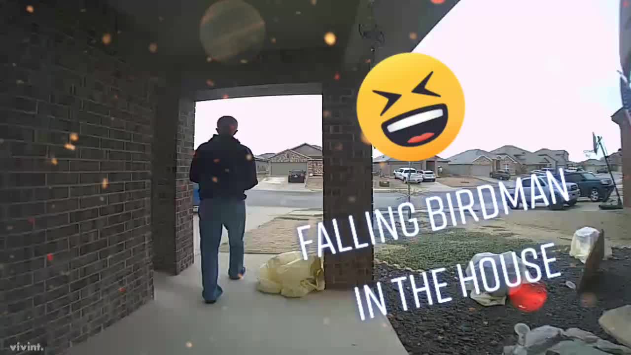 @Birdman's Place