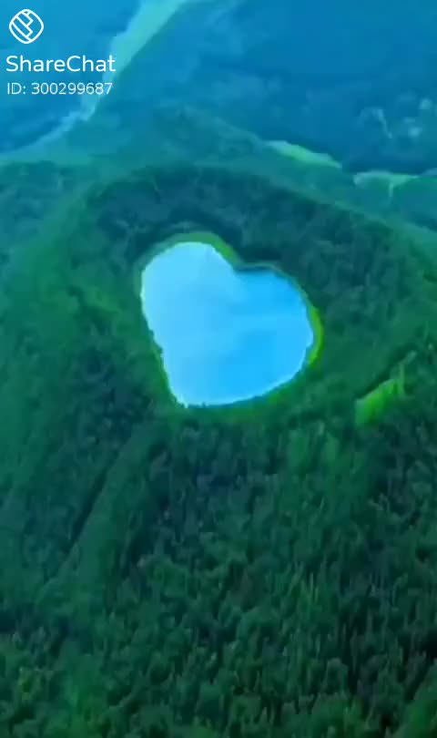 @user7855005126714