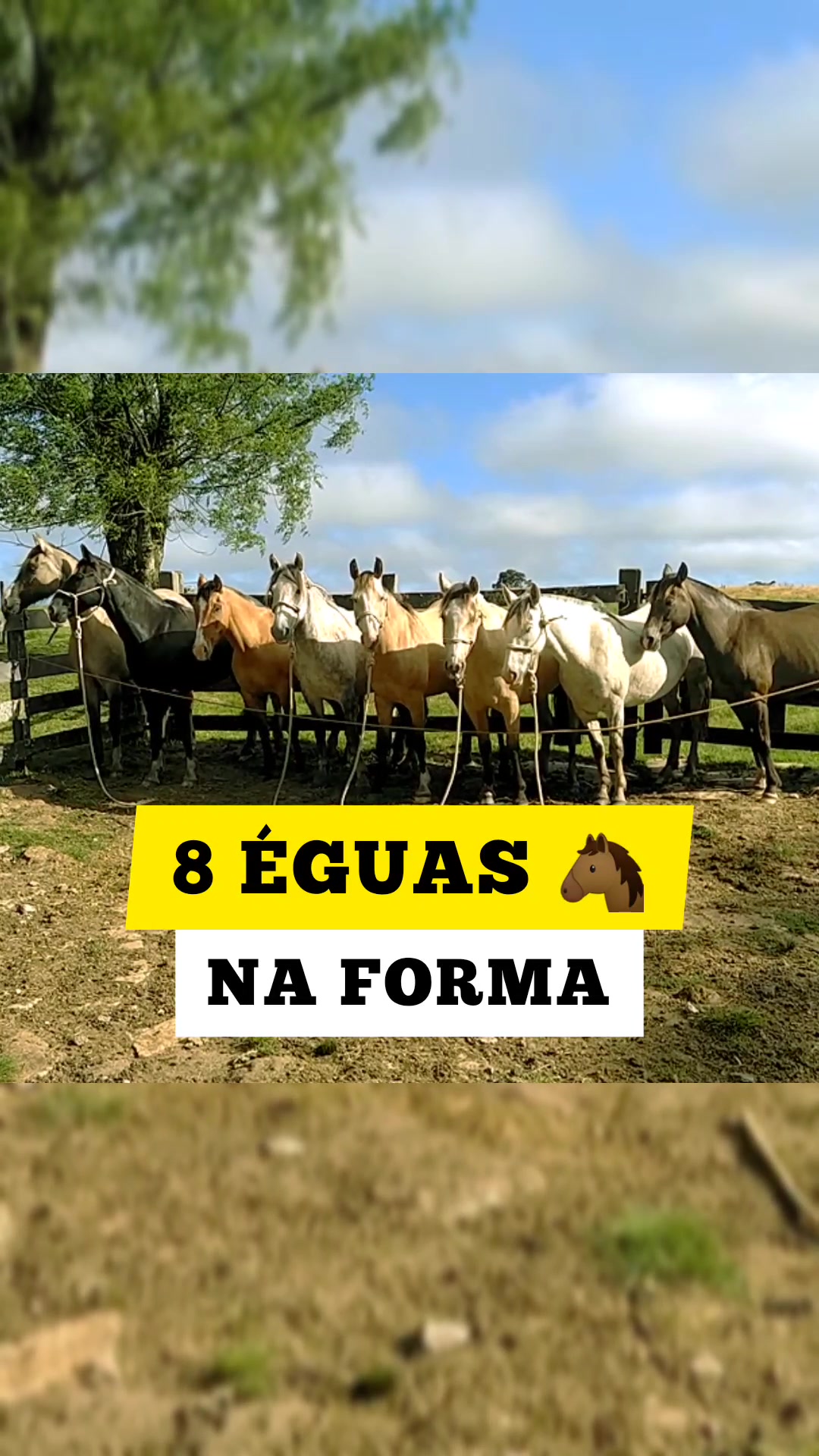 @João Antônio Rupp