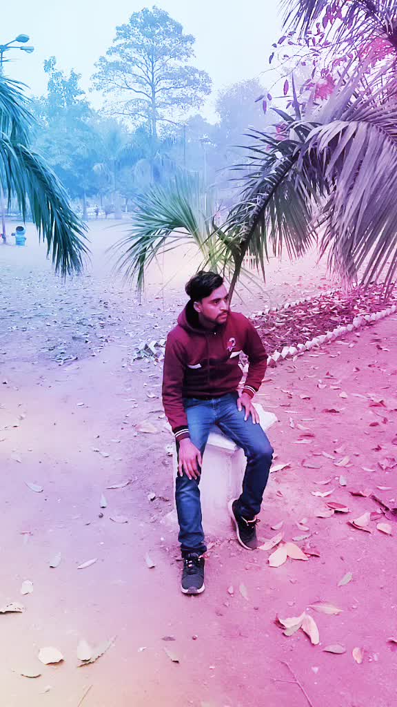 @shindhiuser742737
