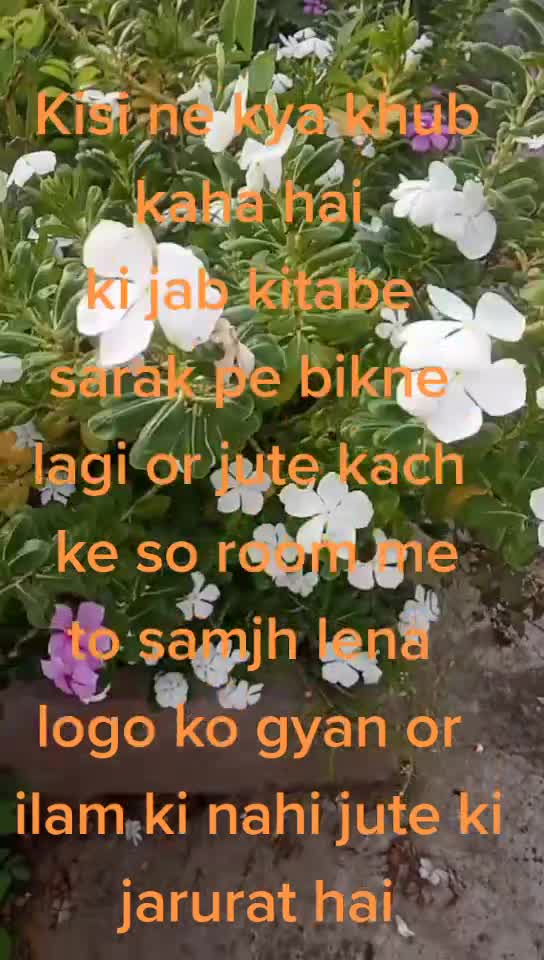 @Babita Kumari