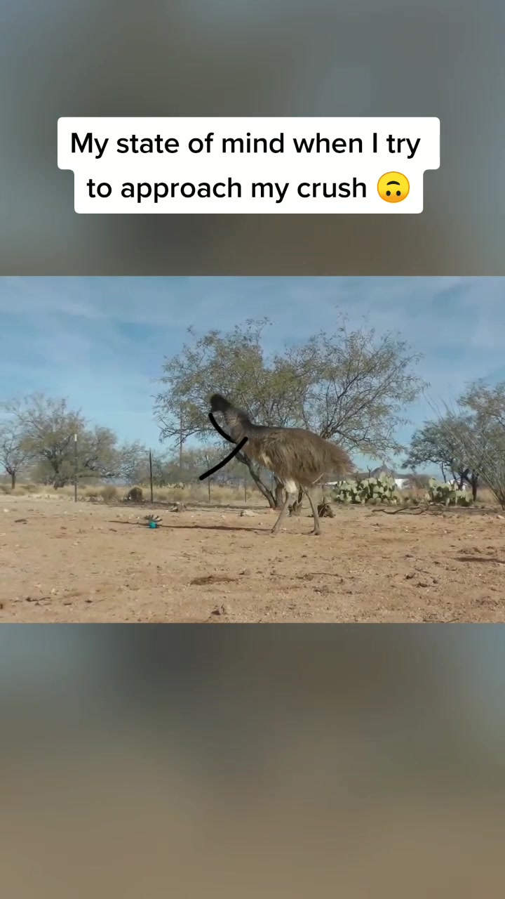 @Moonchay