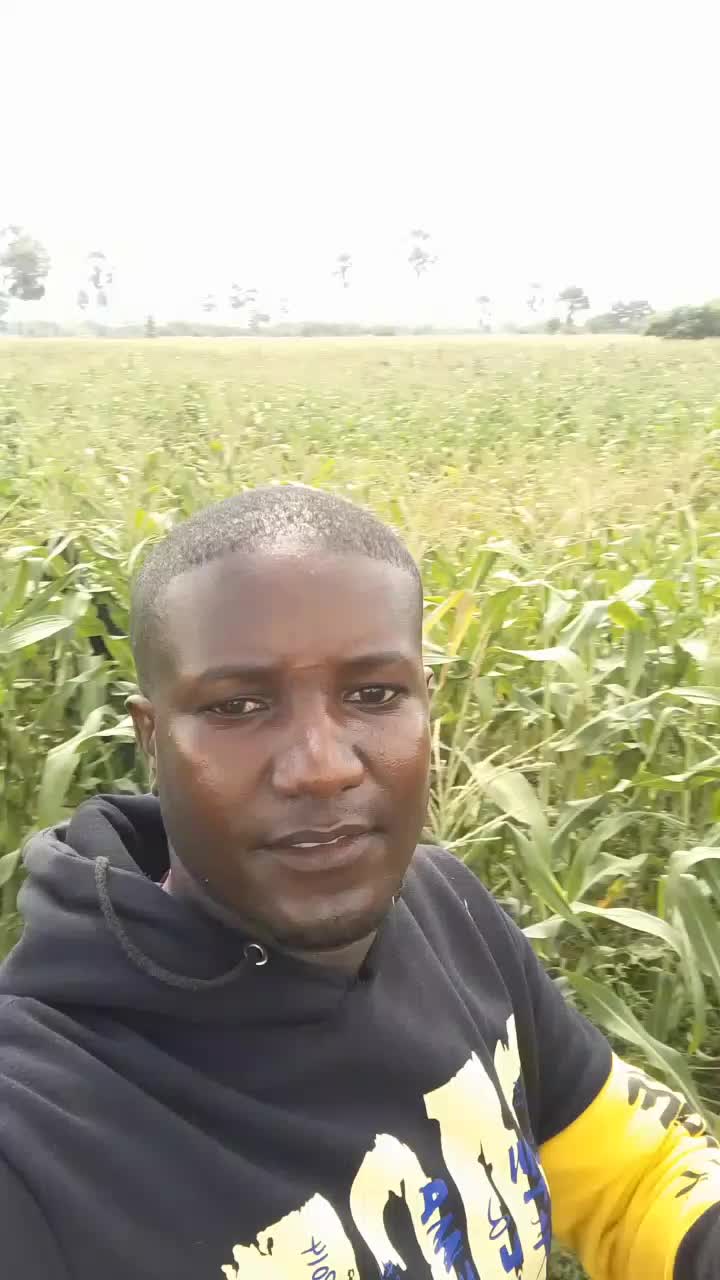 @user565810775125