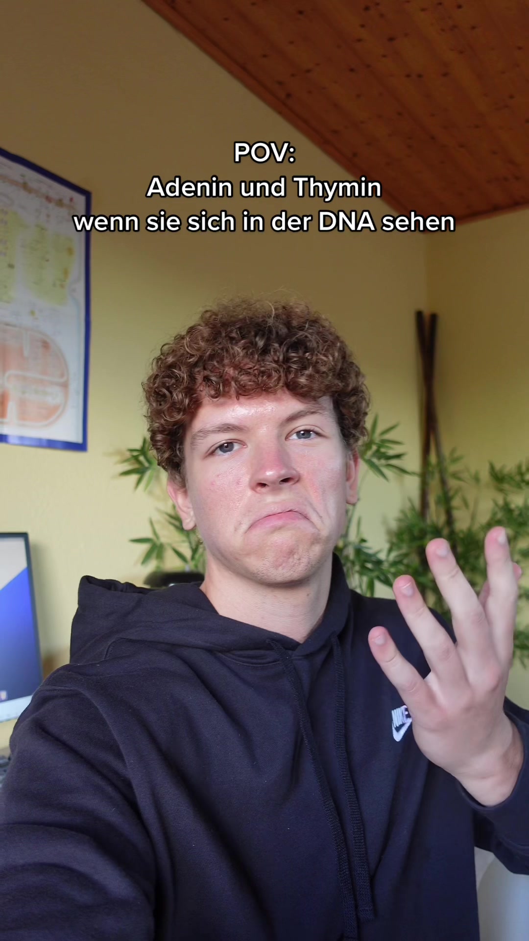 @maxenglisch