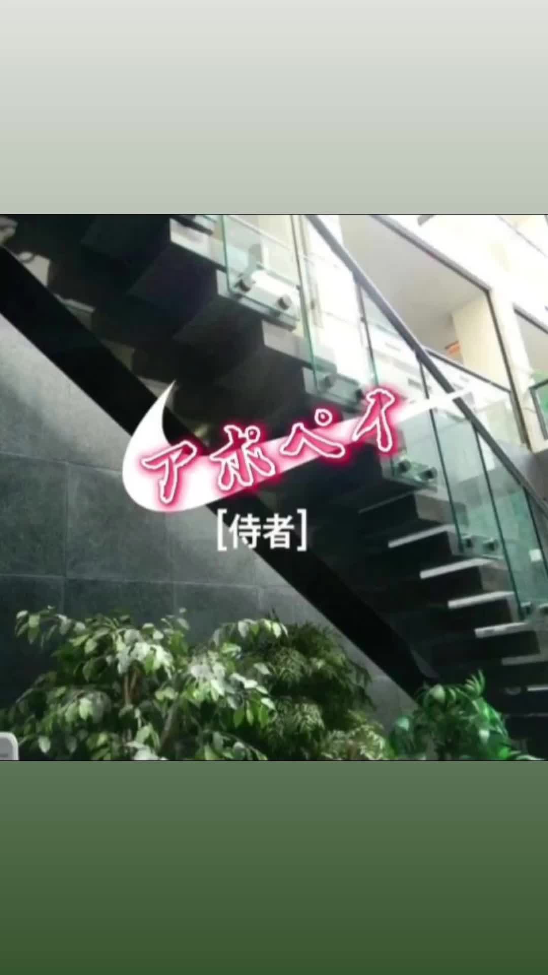 @Raul Apxpeiアポペイ