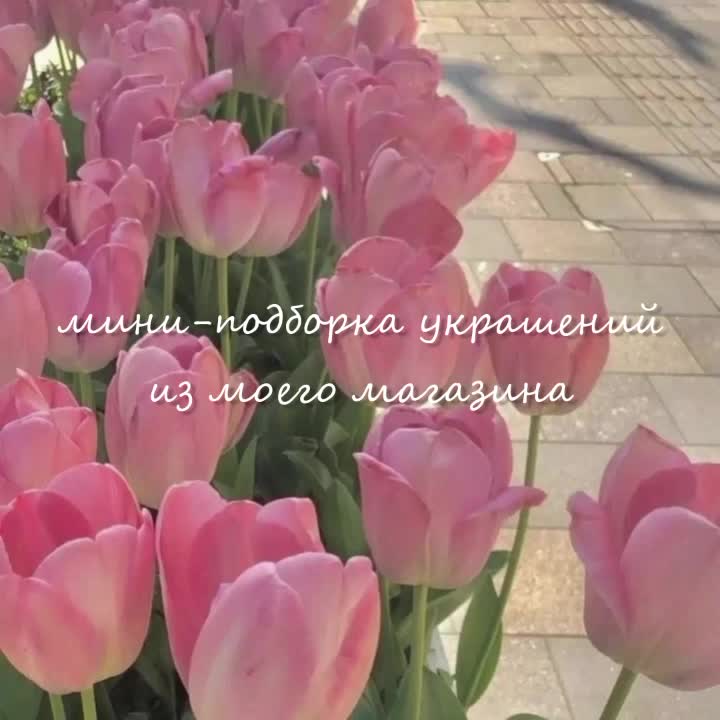 @biserinkss • Подписки