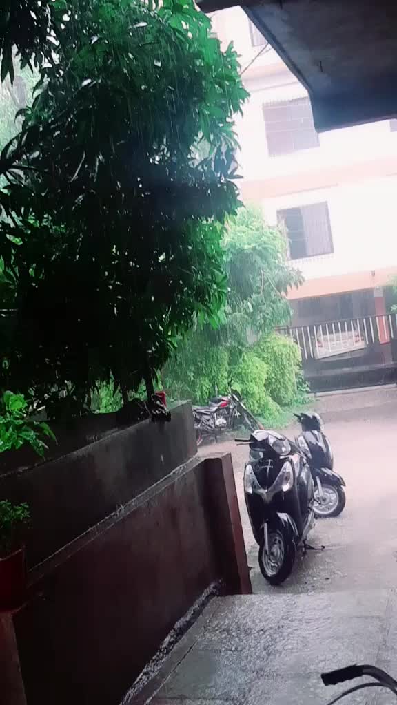 @Ribika Kunal Pote