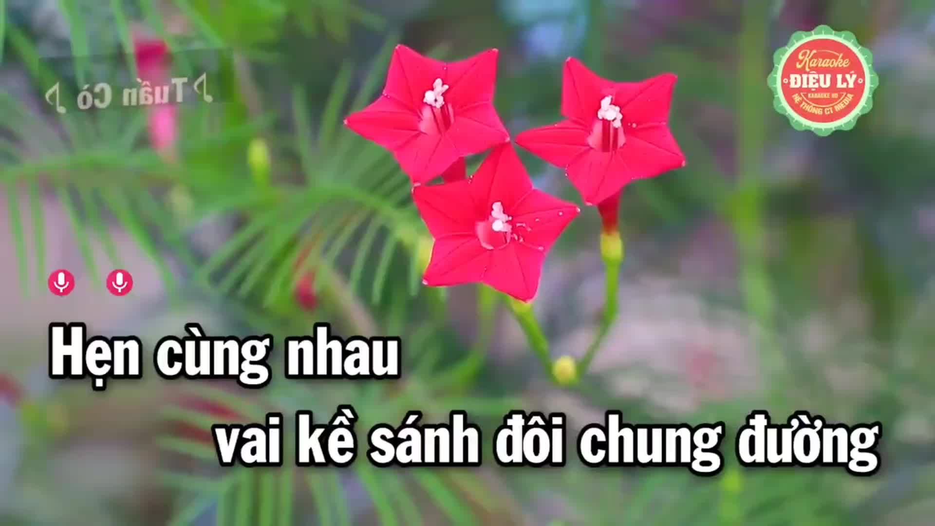 @M&ecirc; ca h&aacute;t