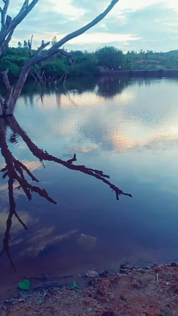 @Ravikiran Shapur