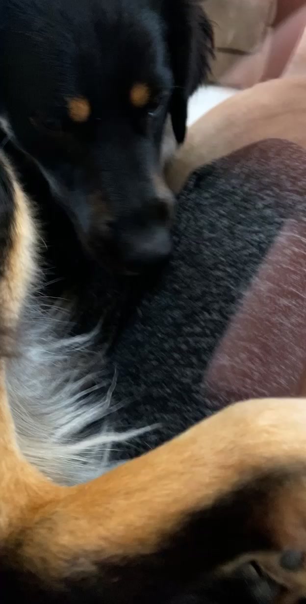@AuroraBuggies