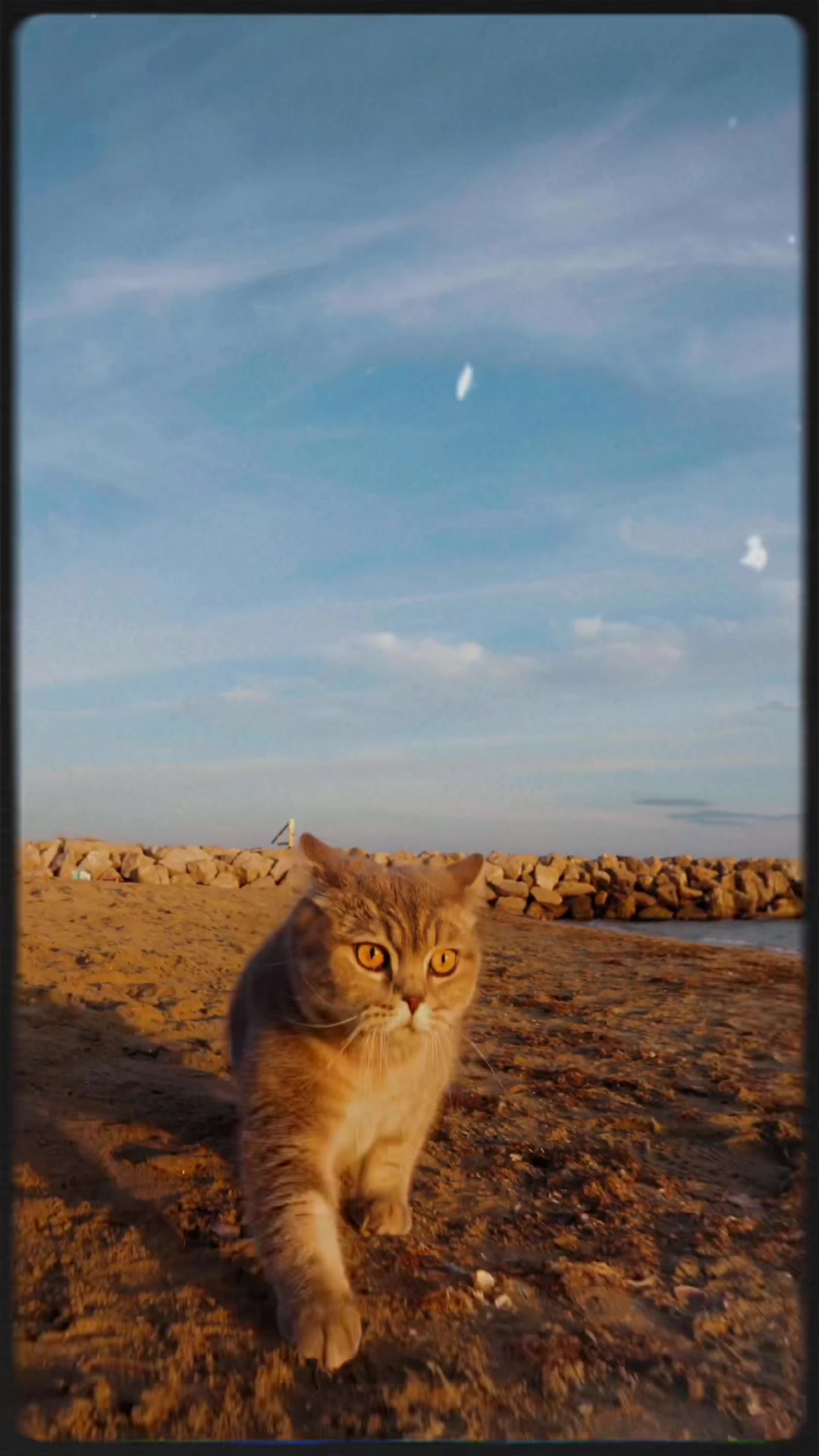 @Rio on the moon