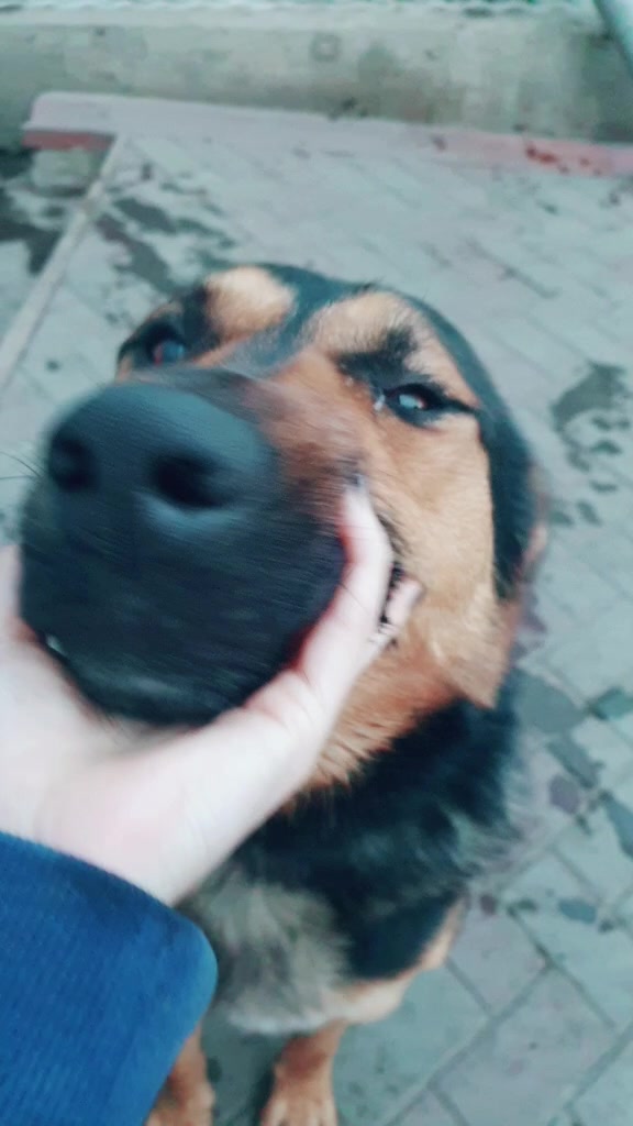 @🖤⭐Настенька⭐🖤