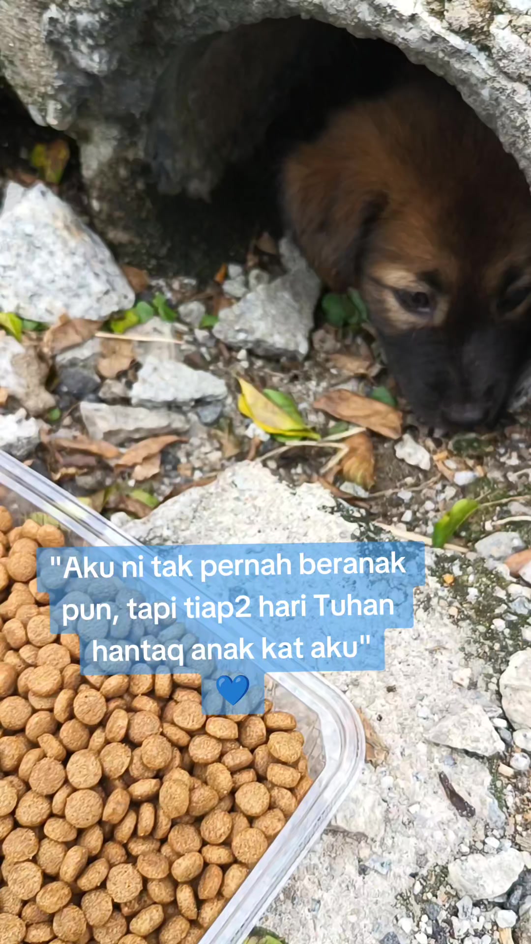@🐕🐈⬛ Mommy Buluss 🐎🐒💙