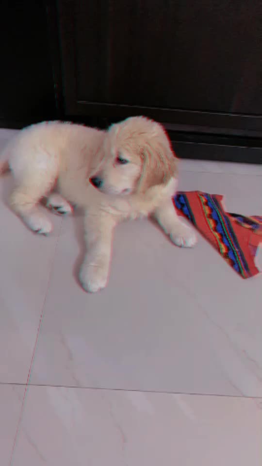 @Shubhika