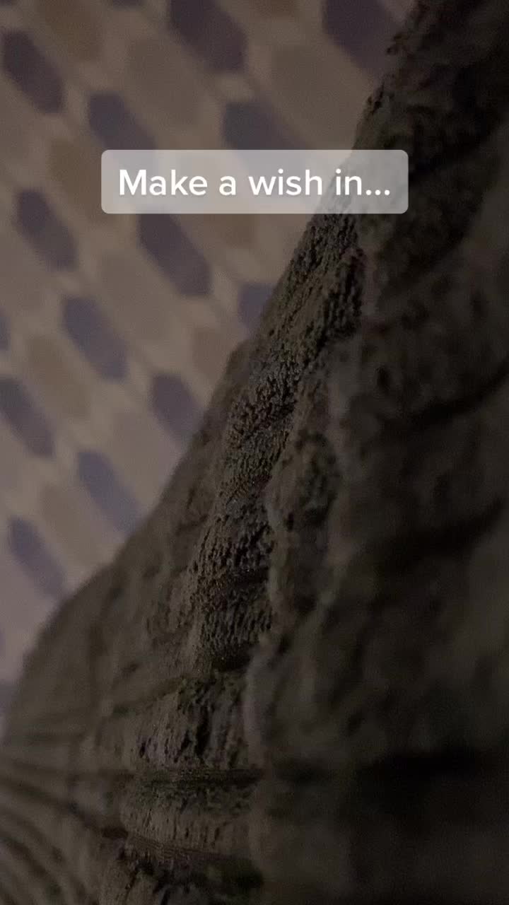 @MJ