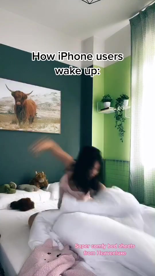 @pipidoudoupet