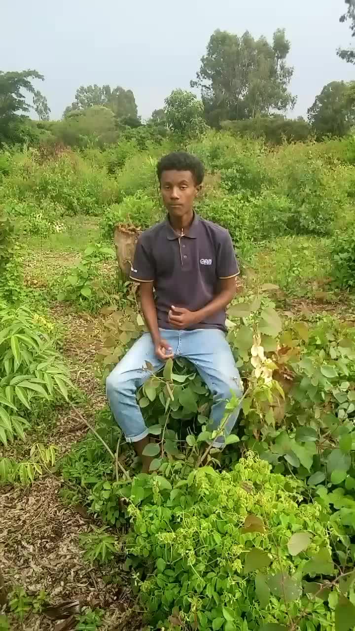 @jojo