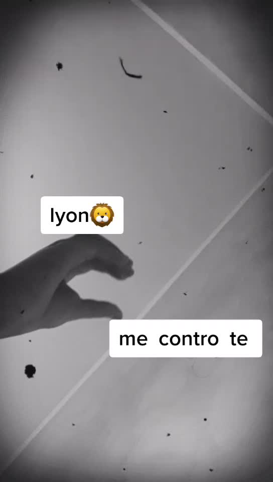 @sarà roblox