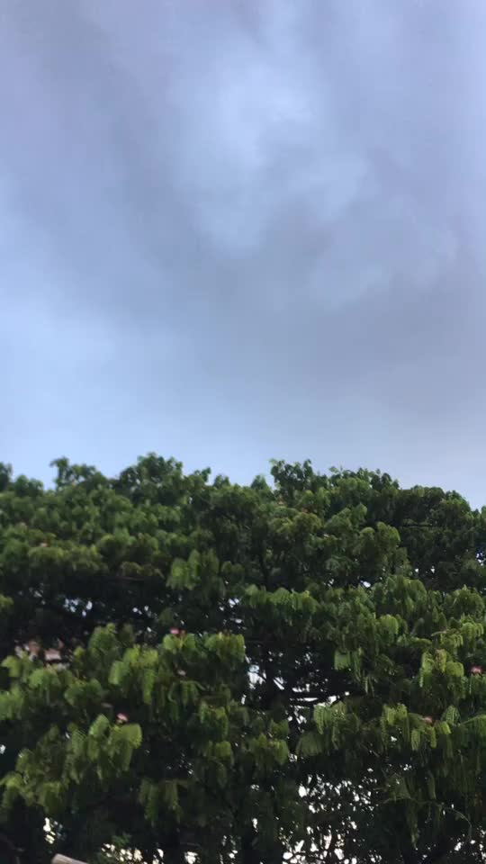 @&Agrave;tsu 💞